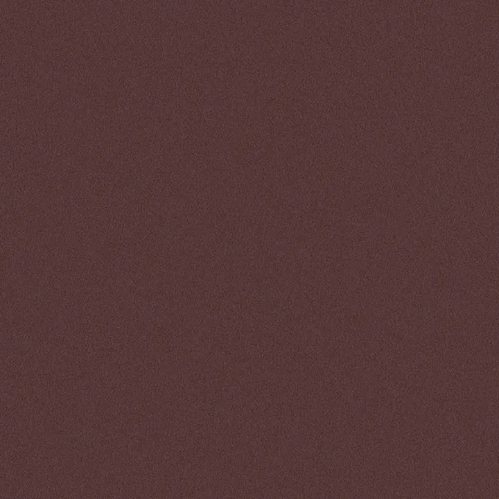 Wall-to-wall Carpet 442