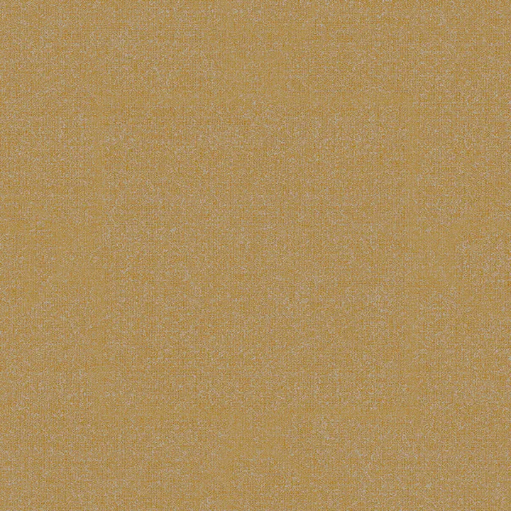 Plain_42