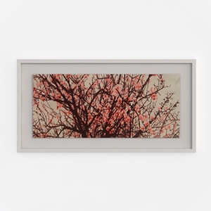 Virtual Garden Plum Blossom March