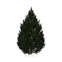 null Left 45 Degree View