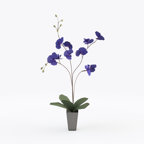 Blue Orchid Arrangement