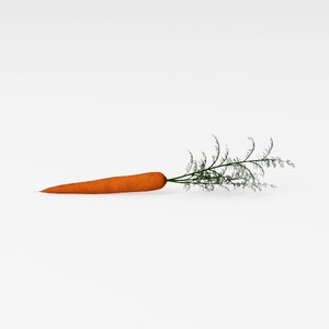 Carrot-Fruit & Veg Art