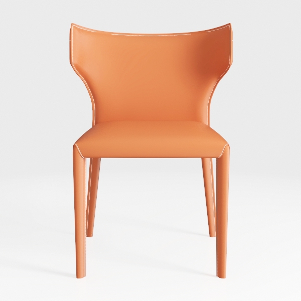 Dining Chairs Set of 2, for Indoor Kitchen Room