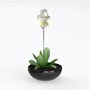 null Left 45 Degree View