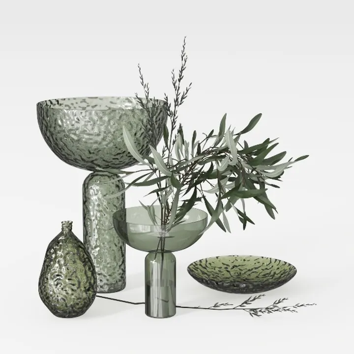 BubbleBlooms White Hypoestes Phyllostachya in a