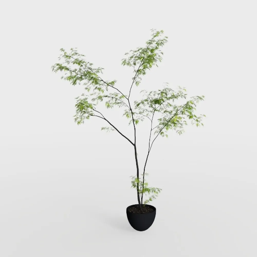 Artificial Mahonia fortunei Tree,5.3ft Tall Fake