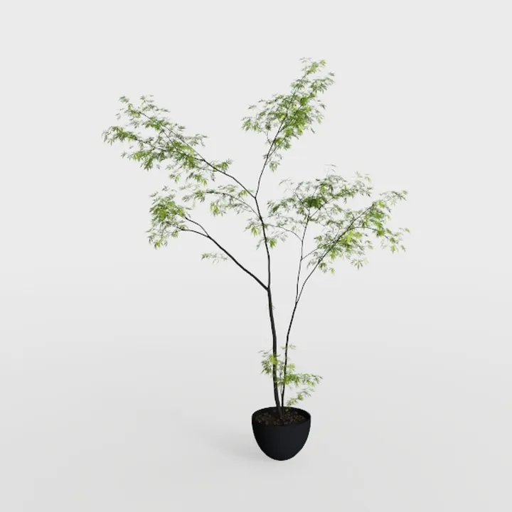Artificial Mahonia fortunei Tree,5.3ft Tall Fake