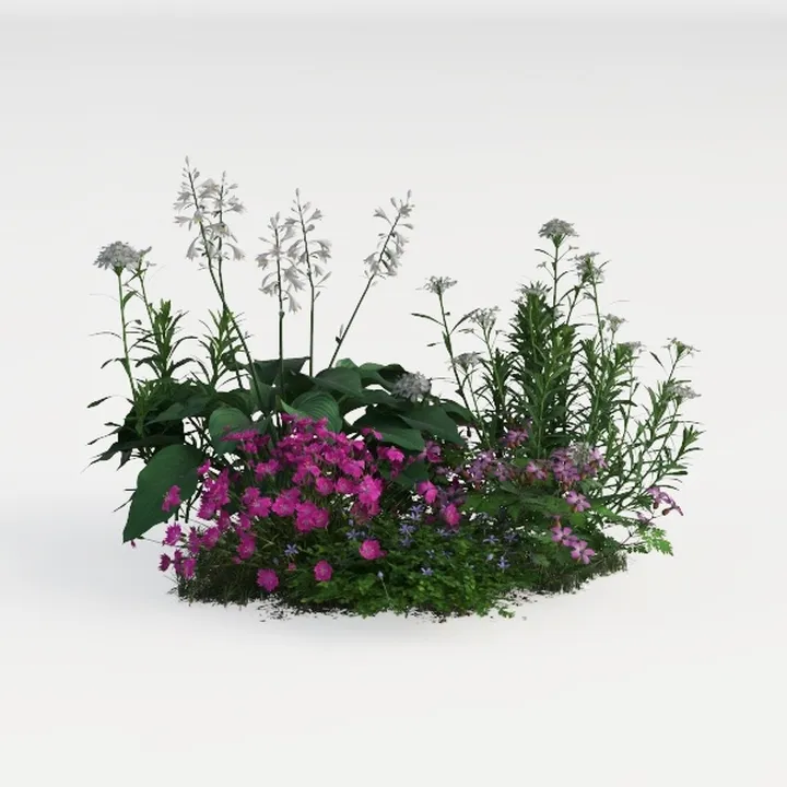 perennial border-Cozy Garden