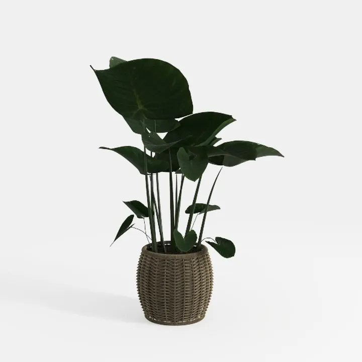 Rattan Woven Potted Faux Tropical Green Plant 3D Model