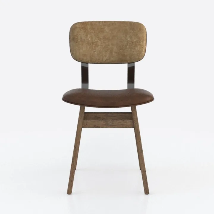 Modern Solid Wood Dining Chair Set of 2, Kitchen