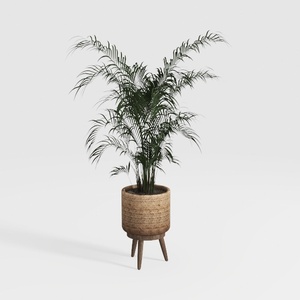 Bohemian Rattan Solid Wood Potted Palm Plant 3D Model