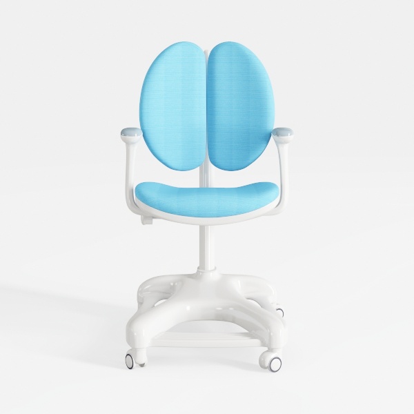 High Back Desk Chair, Mesh Office Chair, Swivel Co