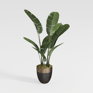 Modern Two Tone Potted Faux Banana Leaf Plant 3D Model